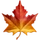 Assortiment van refurbished laptops, desktops en tablets beschikbaar bij Back in Use, gericht op duurzaamheid en kwaliteit.