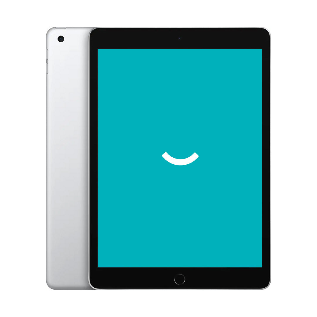iPad 9 (2021) | 10.2" | 64GB | Wi-Fi + 4G | Zilver