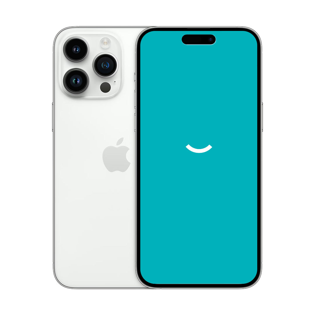 iPhone 14 Pro Max | 256GB | Zilver