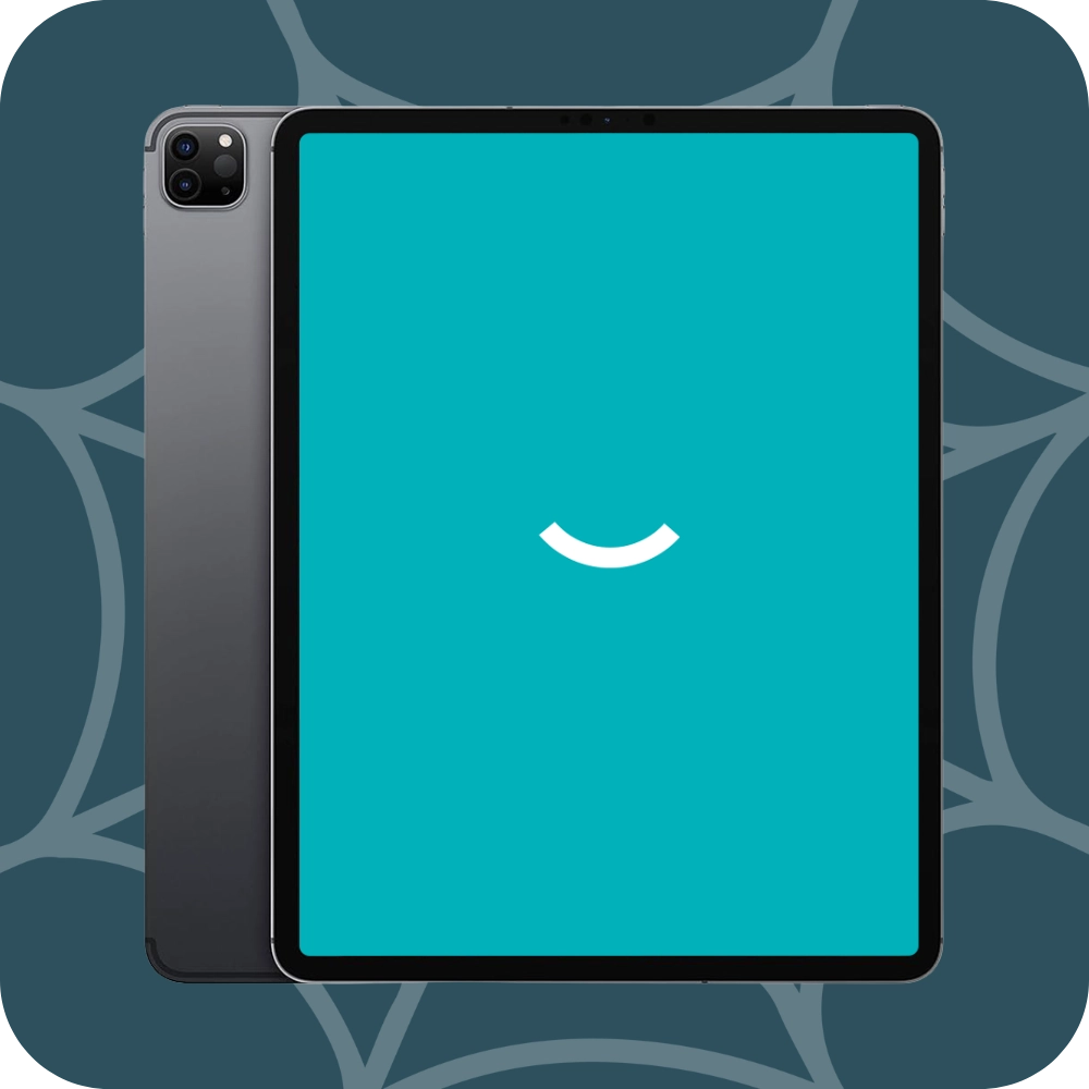 iPad Pro 12.9" 4th Gen (2020) | 256GB | Wi-Fi+4G | Gray